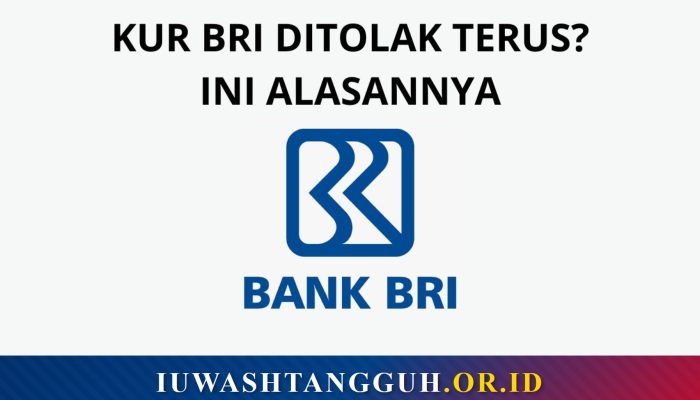 7 Penyebab Utama KUR BRI Ditolak