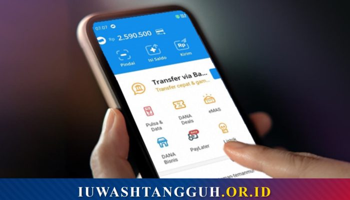 Alasan Umum Pengguna Ingin Menghapus Akun DANA Premium
