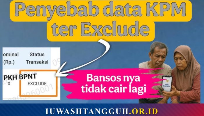 Apa Arti Status Exclude dalam Sistem Bansos Kemensos
