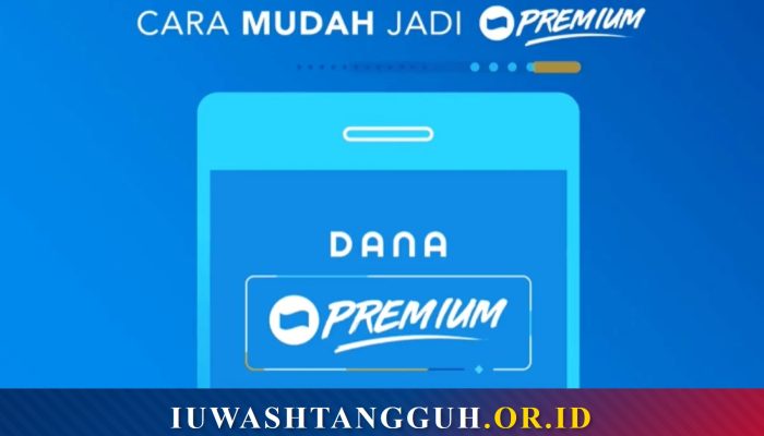 Apa Itu DANA Premium dan Perbedaannya dengan Basic?