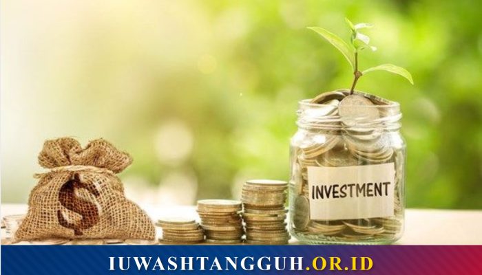 Apa Itu Investasi? Definisi Menurut OJK dan Para Ahli