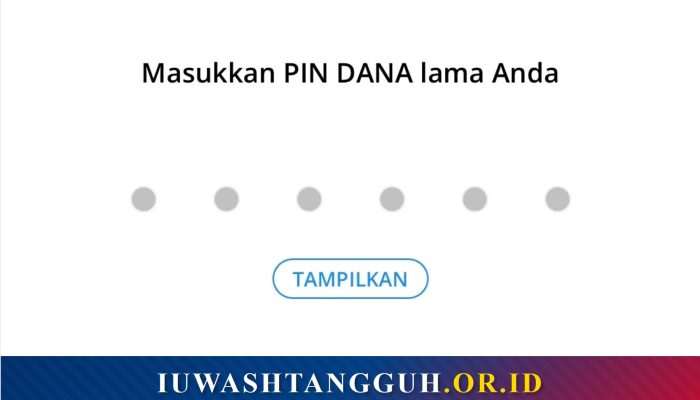 Apa Itu PIN DANA dan Fungsinya