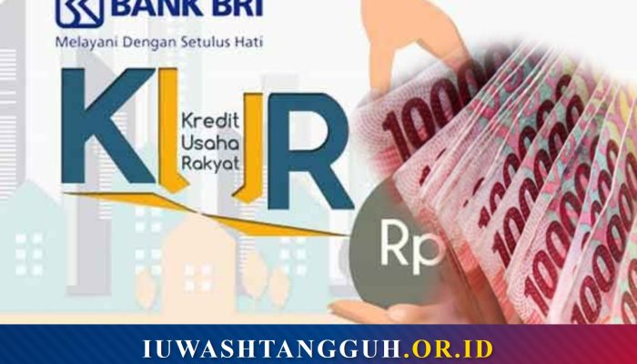Apa Itu Pelunasan Dipercepat KUR BRI?