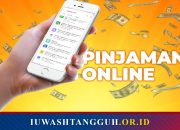 Apa Itu Pinjaman Online? Cara Kerja, Jenis Bunga, Risiko Gagal Bayar, dan Aturan OJK yang Wajib Dipahami