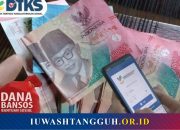 Apa Itu Status Exclude Bansos? Arti, Penyebab, dan Cara Mengatasinya