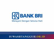 Bank BRI: Profil, Sejarah, Produk Tabungan & Kredit, hingga Layanan Digital Terlengkap