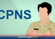 CPNS 2026 Kapan Dibuka? Jadwal Resmi, Formasi Fresh Graduate, dan Syarat Lengkap dari BKN