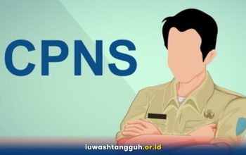 CPNS 2026 Kapan Dibuka? Jadwal Resmi, Formasi Fresh Graduate, dan Syarat Lengkap dari BKN