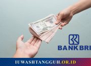 Cara Pinjam Uang di Bank BRI: Syarat, Jenis Kredit, dan Limit Pinjaman Terbaru