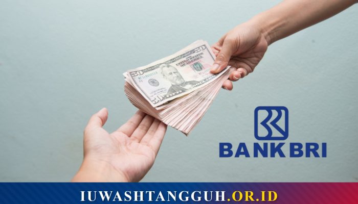 Cara Pinjam Uang di Bank BRI: Syarat, Jenis Kredit, dan Limit Pinjaman Terbaru