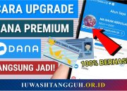 Cara Upgrade DANA Premium 2026 Beserta Syarat, Tutorial Verifikasi KTP, hingga Solusi Jika Ditolak