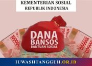 Daftar Jenis Bansos 2025 yang Masih Aktif dan Cair Bulan Ini