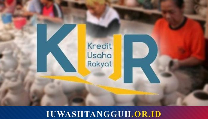 Jenis-Jenis KUR
