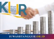 Kredit Usaha Rakyat (KUR): Pengertian, Sejarah, Dasar Hukum, hingga Daftar 46 Bank Penyalur