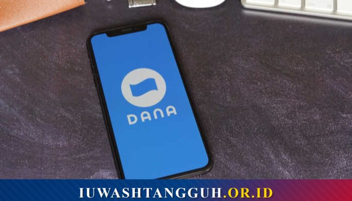 Sejarah Singkat Aplikasi DANA
