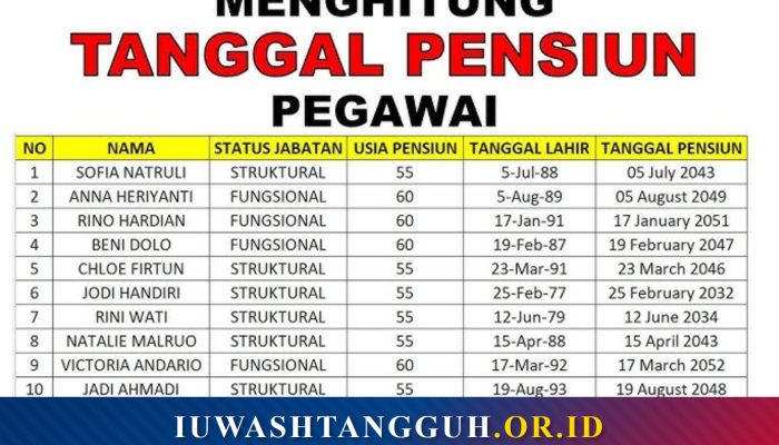 Tabel Lengkap Batas Usia Pensiun per Jabatan