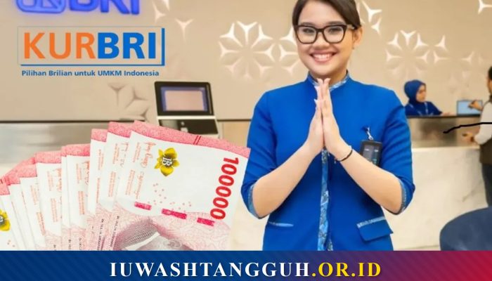 Bunga KUR BRI 2026 Terbaru, Simak Tabel Cicilan dan Syarat Pengajuannya di Sini!