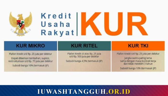 7 Jenis KUR yang Tersedia di 2026