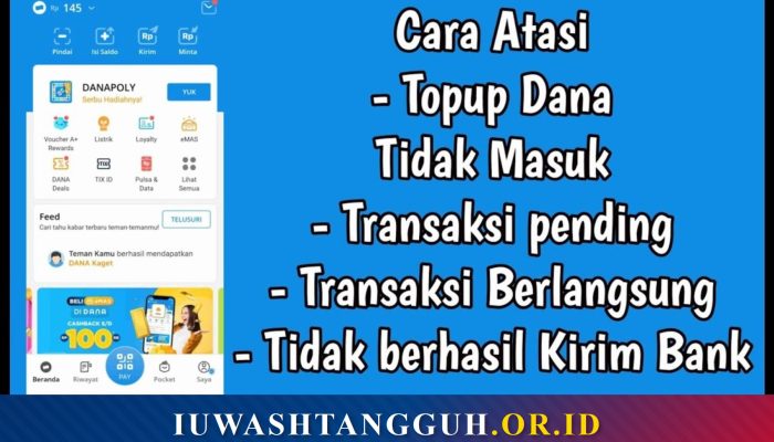 Penyebab Umum Top Up DANA Tidak Masuk
