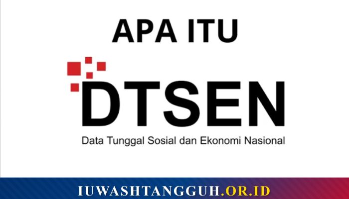 Apa Itu DTSEN?
