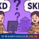 Apa Itu SKD dan SKB? Panduan Lengkap Seleksi CPNS dari Pengertian hingga Cara Penilaian 2026