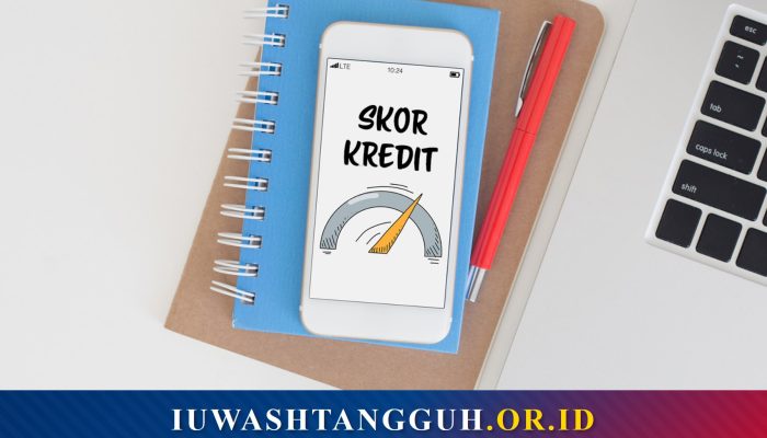Apa Itu Skor Kredit? Pengertian, Sejarah, dan Sistem Penilaian SLIK OJK Terbaru 2026