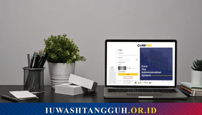 Apa Itu Status Save Invalid di Coretax?