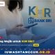 BI Checking Wajib untuk KUR BRI? Ini Penjelasan OJK dan Cara Cek Statusnya