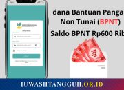 BPNT: Bantuan Pangan Non Tunai, Sejarah, Dasar Hukum, Tujuan, Lengkap hingga Masalah Umum dan Solusinya
