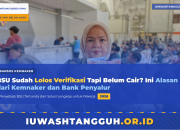BSU Sudah Lolos Verifikasi Tapi Belum Cair? Ini Alasan dari Kemnaker dan Bank Penyalur