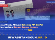 Batas Waktu Aktivasi Rekening PIP SimPel 2026: Tanggal, Konsekuensi, dan Cara Agar Tidak Telat
