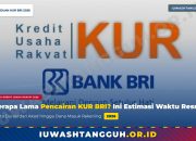 Berapa Lama Pencairan KUR BRI? Ini Estimasi Waktu hingga Dana Masuk Rekening