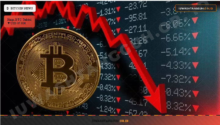 Bitcoin Anjlok di Bawah USD 90.000: Dampak Perang Dagang Eropa-AS dan Strategi Investor 2026