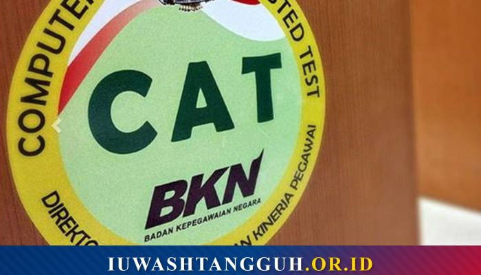 Cara Kerja Sistem Penilaian CAT BKN