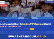 Cara Mengaktifkan Rekening PIP yang Dormant, Begini Tutorial Lengkapnya
