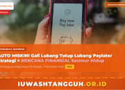 Cara Menggunakan Paylater dengan Bijak, Strategi Menghindari Jebakan Utang