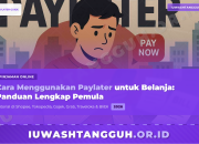Cara Menggunakan Paylater untuk Belanja: Panduan Lengkap Pemula