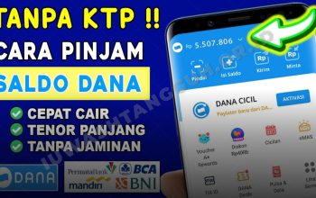 Cara Pinjam Uang di DANA 2026 Bisa Tanpa BI Checking dan Tanpa KTP Fisik