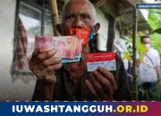 Cek Bansos Lansia 2026 Pakai NIK KTP: Tutorial Lengkap PKH, Permakanan, dan PBI di Website Kemensos