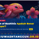 Dolphin of Bauhinia Apakah Benar Membayar? Fakta Lengkap Game Penghasil Uang yang Viral di 2026