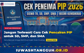 Jangan Sampai Terlewat! Cara Cek Pencairan PIP Januari 2026 untuk SD, SMP, dan SMA