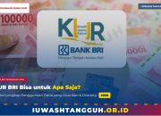 KUR BRI Bisa untuk Apa Saja? Ini Daftar Lengkap Penggunaan Dana yang Diizinkan dan Dilarang