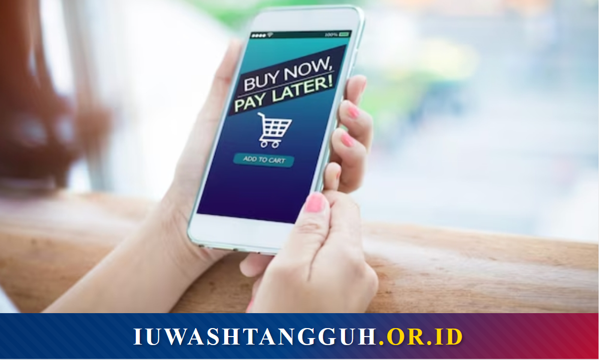 Limit Paylater: Pengertian, Cara Cek, dan Tips Menggunakannya