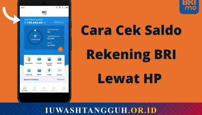 Mengapa Perlu Rutin Cek Saldo Rekening BRI?