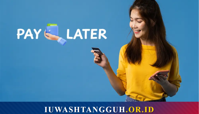 Paylater untuk Travel Rekomendasi Platform, Perbandingan Bunga, dan Tips Liburan Hemat