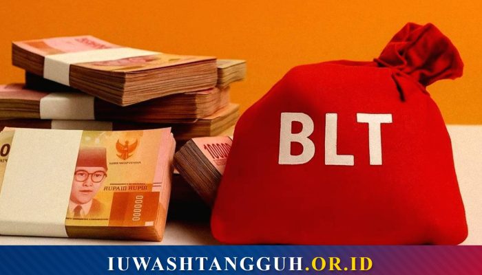 BLT: Pengertian Bantuan Langsung Tunai, Sejarah, Dasar Hukum, Jenis, dan Visi Misi