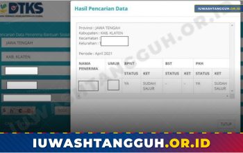 Website cekbansos.kemensos.go.id Tidak Bisa Diakses? Ini Penyebab dan Cara Mengatasinya