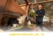 ANTAM Dorong Kesejahteraan Sosial-Ekonomi Warga Pongkor Lewat Inisiatif Strategis