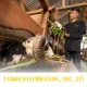 ANTAM Dorong Kesejahteraan Sosial-Ekonomi Warga Pongkor Lewat Inisiatif Strategis