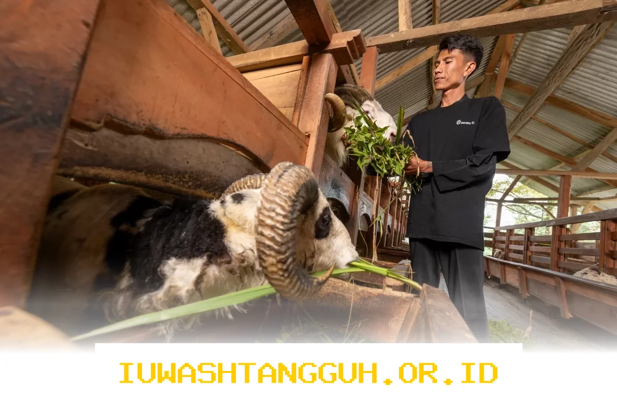 ANTAM Dorong Kesejahteraan Sosial-Ekonomi Warga Pongkor Lewat Inisiatif Strategis